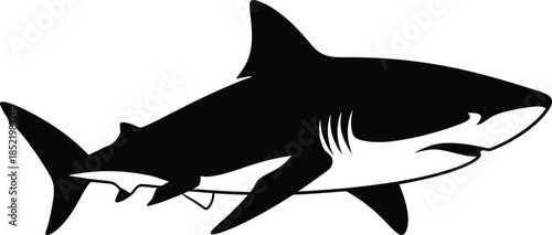Silhouette of a shark isolated on transparent background, Vector, illustration