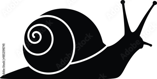 Silhouette of a snail isolated on transparent background, Vector, illustration