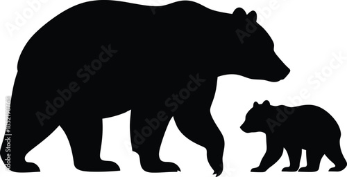 Mother bear and cub walking together isolated on transparent background, Vector, illustration