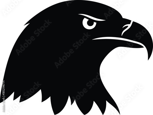 Angry eagle head isolated on transparent background, Vector, illustration