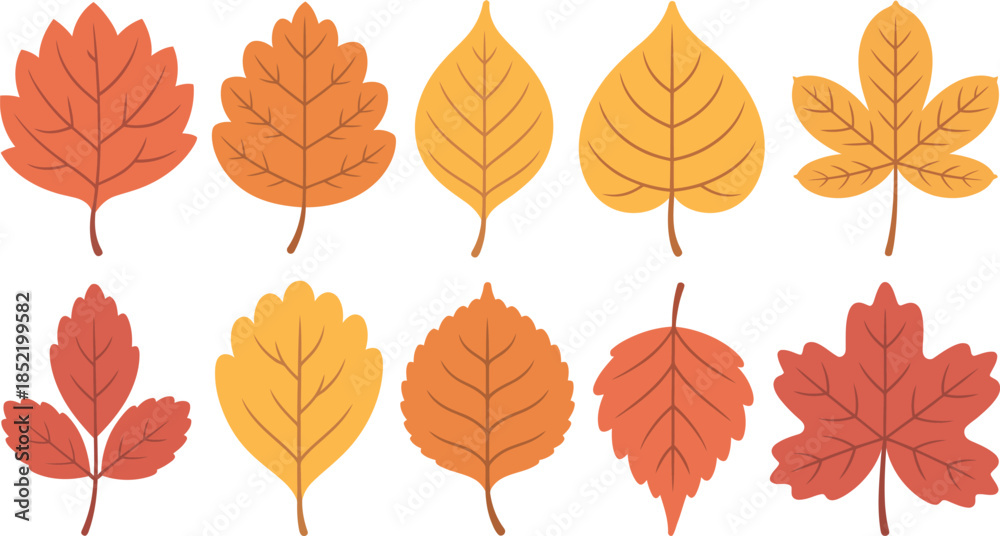 Fototapeta premium collection of colorful autumn leaves on white background