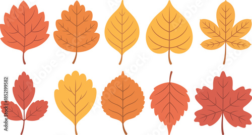 collection of colorful autumn leaves on white background