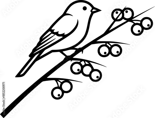 Simple outline of a bird perched on a berry branch with minimalist style
