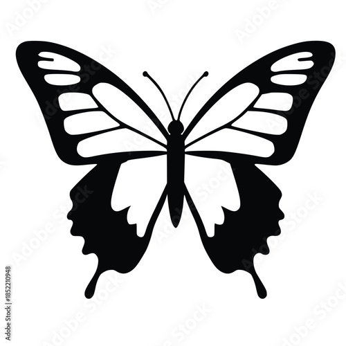 Black and white butterfly silhouette icon vector graphic nature insect art design