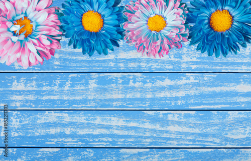 Blue aster flowers on a blue wooden background.