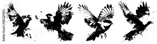 Grunge Bird Silhouettes Set – Black Textured Birds Vector