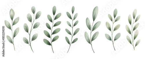 Soft botanical leaf collection painted in gentle watercolor tones. Botanical set of tropical foliage branch.
