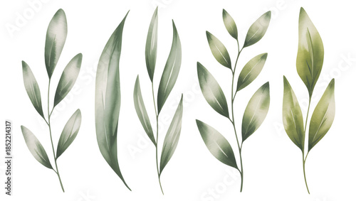 Soft botanical leaf collection painted in gentle watercolor tones. Botanical set of tropical foliage branch.