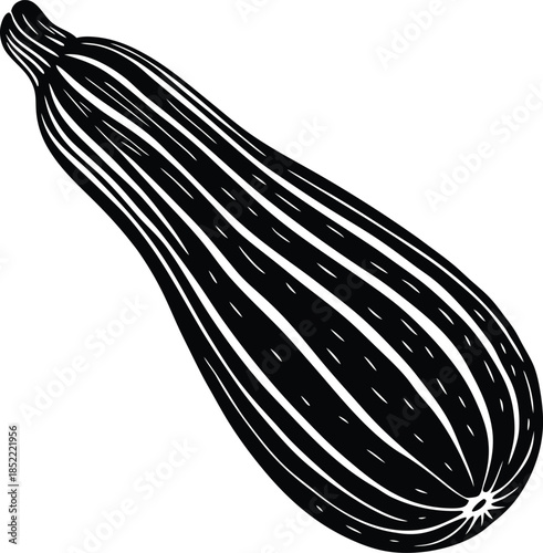 Black and white of a zucchini with texture lines vegetable
