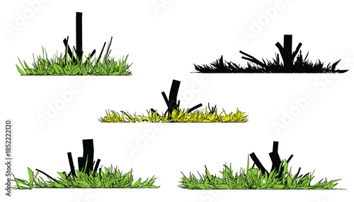 Collection of trees with and without leaves grass on land 