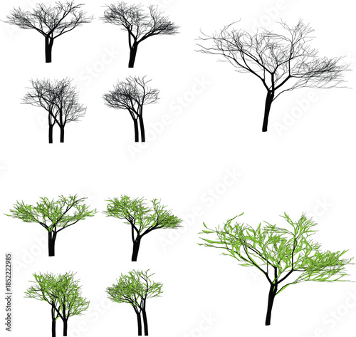 Set of bare and leafy trees in various stages of growth and decay on white