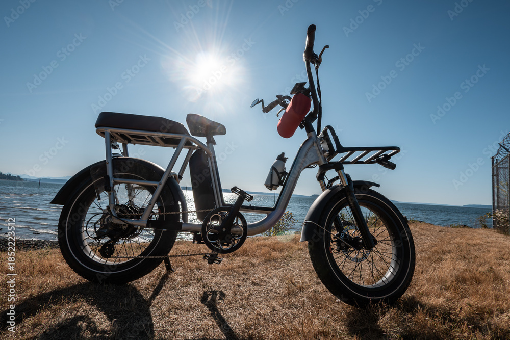 Obraz premium Utility style electric bicycle