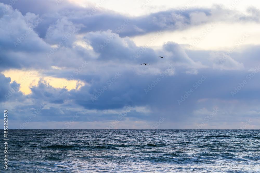 Fototapeta premium A pair of birds flies high over the calm ocean beneath a sky filled with dramatic clouds.