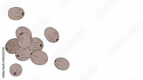 Illustration of brown plant seeds scattered on white background. Small organic plant seeds display natural texture, perfect for botanical studies, agriculture.