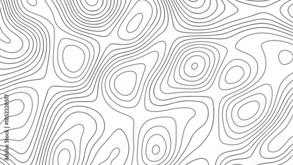 Fototapeta premium White topographic map patterns, geographic line World map with elevation assignments. Vector illustration. wave Line topography map contour background.