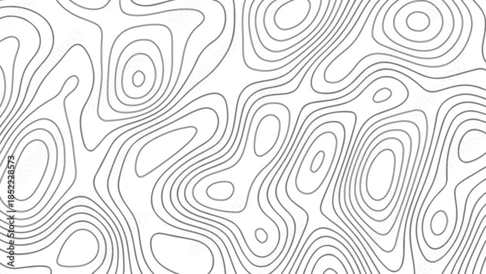 Fototapeta premium White topographic map patterns, geographic line World map with elevation assignments. Vector illustration. wave Line topography map contour background.