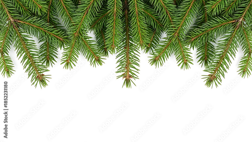 Naklejka premium fresh green spruce branches naturally framing the top of a clean white background perfect for festive winter holiday designs.