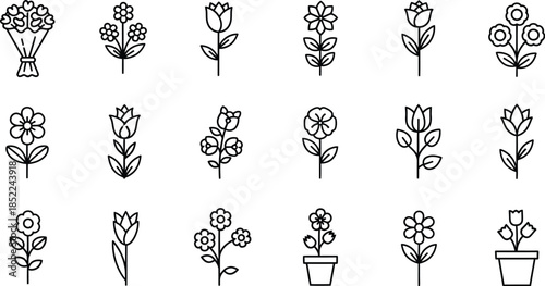 Collection of delicate floral line art illustrations on transparent background silhouette
