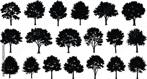 Collection of various tree silhouettes on transparent background
