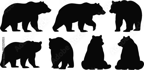 Black bear silhouettes in various poses on transparent background