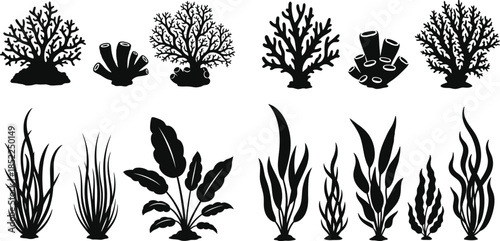 Diverse coral reef and seaweed elements in black ideal for design on transparent background silhouette