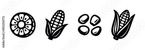 Vector illustration of corn elements, flat vector seeds and cobs in black and white