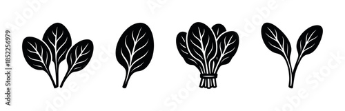 Spinach leaves vector illustration, flat style, organic, fresh, healthy design