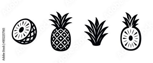 Pineapple collection vector illustration, flat vector style, tropical fruit icons