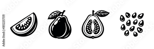 Guava fruit set, seeds and leaves, flat vector illustration, tropical fruit art
