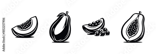 Papaya fruit vector illustration, tropical designs, seeds, flat vector style