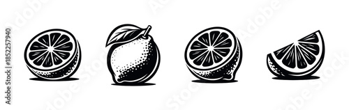 Lemon fruit vector illustration, tropical designs, citrus flat vector style