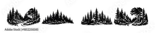 Forest landscape scenes, flat vector illustration, trees, woodland paths