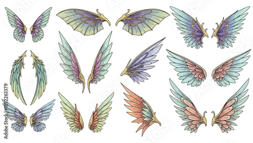 Fantasy Wings Vector Illustration Set for Design Projects