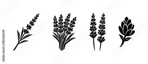 Lavender floral designs, decor and nature, flat vector illustration