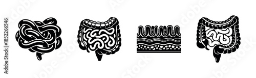 Human digestive system, organs, medical diagrams, flat vector illustration