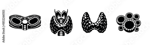 Thyroid gland vector illustration, flat vector style, anatomy, healthcare