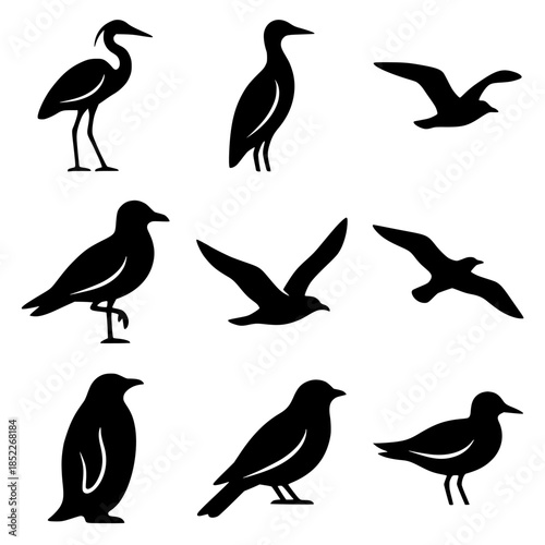 Collection of black silhouette birds in varied poses — minimalist vector illustration