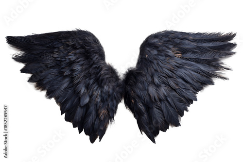Dark black feathered wings with texture isolated on transparent background