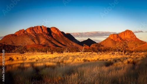 Flinders Ranges Sunset Golden Grasslands Red Mountains