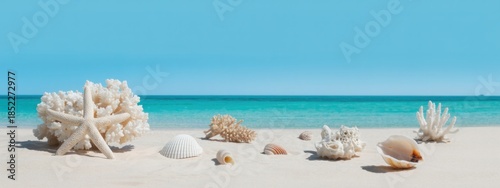 Seashells on Paradise Beach: Capturing the tranquility of a tropical beach, with an array of seashells gracefully arranged upon the pristine white sand.