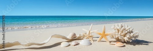 Serene Beach Treasures: An array of seashells, starfish, and coral adorns the pristine, sandy beach, with crystal-clear turquoise waters and a bright blue sky providing a picturesque backdrop.