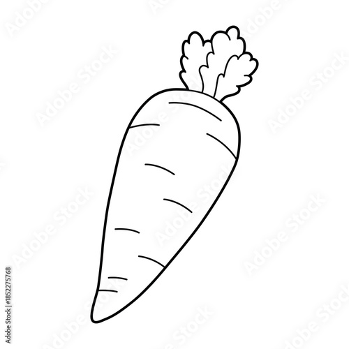 Black and white outline illustration of a carrot isolated on white background. Simple line art ball for colouring/coloring pages, kids activities, sports themes and educational designs.
