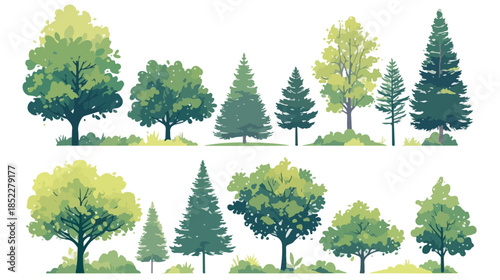 A diverse collection of isolated deciduous and coniferous trees in an illustration style, perfect for transparent graphic design elements.