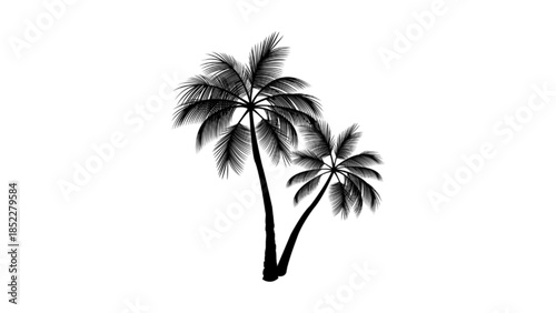 Vector silhouette of palm tree