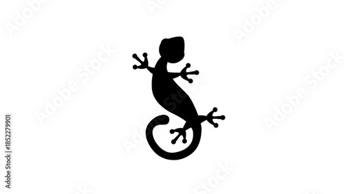 Silhouette of gecko on the wall