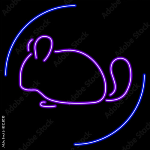 chinchila neon sign, modern glowing banner design, colorful modern design trends on black background. Vector illustration.