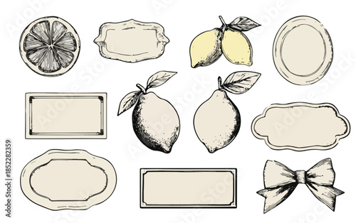 투명한 배경에 손으로 그린 레몬, 리본, 라벨 디자인 요소 모음