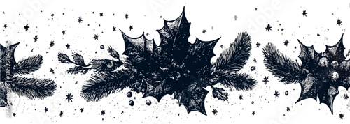 투명한 배경에 그려진 홀리 잎과 소나무 가지의 겨울 테두리 디자인