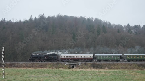 Side view Video of a vintage steam locomotive pulls classic passenger carriages through a quiet rural valley, releasing thick white steam as it passes fields and forested hills under an overcast sky.