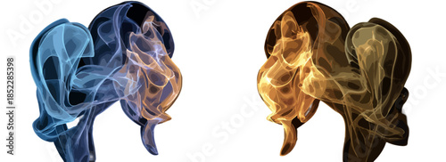 두 개의 투명한 연기 형상이 서로 마주보며 추상적인 형태를 이루고 있습니다.